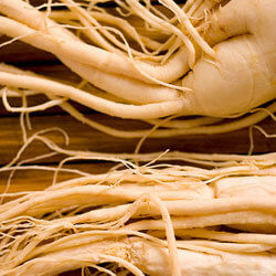 ginseng